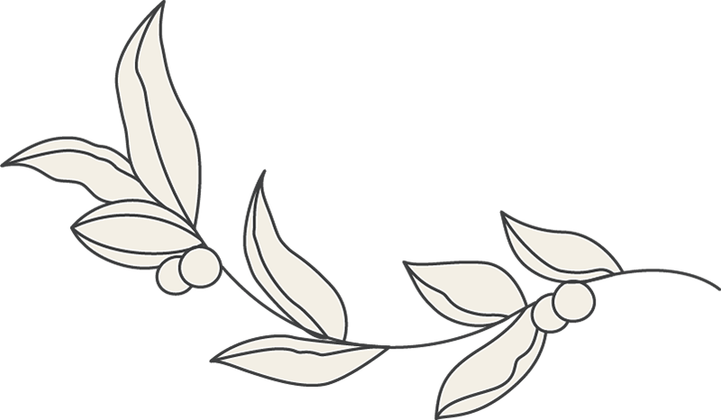 beauty-esthetician-44 beauty esthetician 44